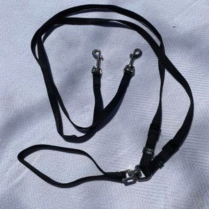 Dog leash for two dogs